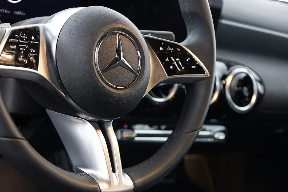 250 e Business Line | Full LED | Half LEDER | NAVI | PHEV !