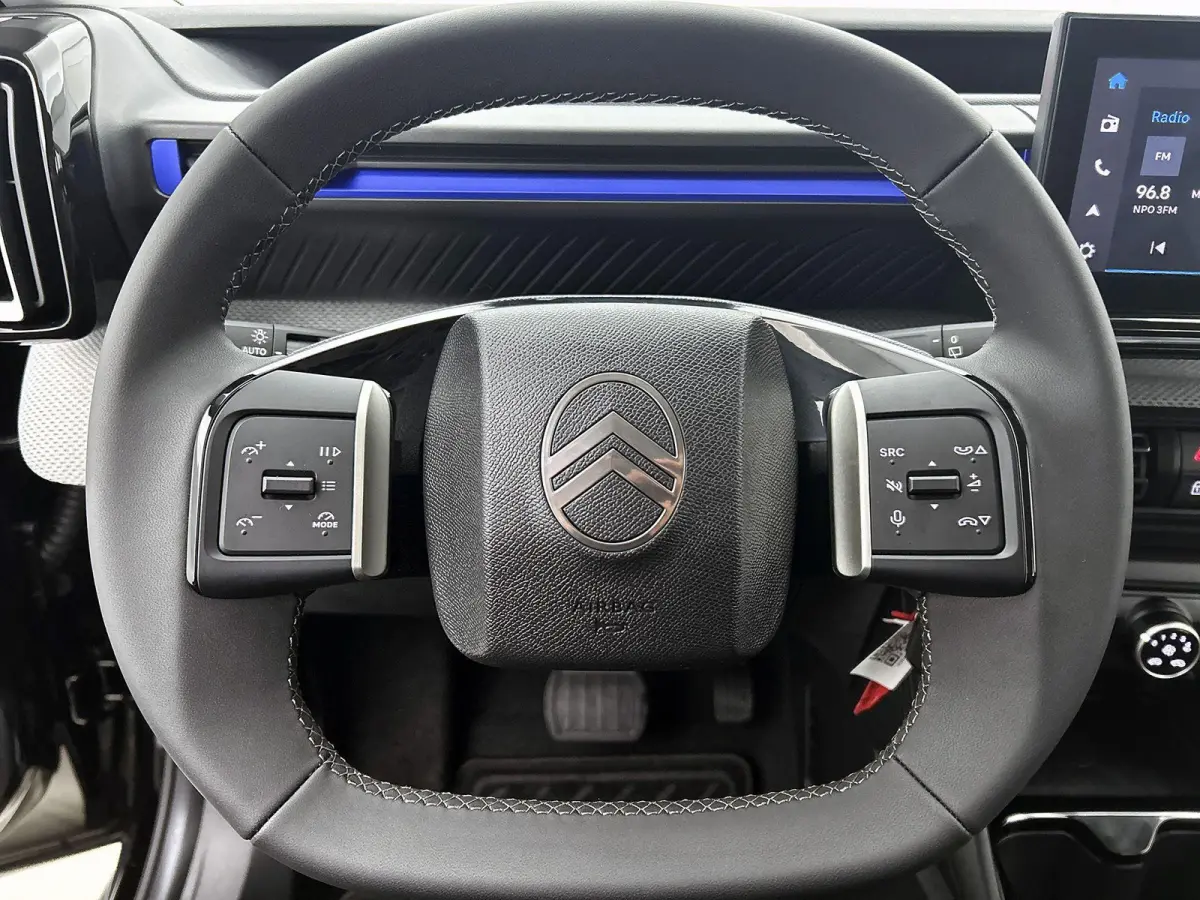 Plus 113pk Comfort Range 44 kWh | 8 JAAR GARANTIE | | Apple CarPlay/Android Auto | Camera | Comfortstoelen | Cruise Control | Climate Control |