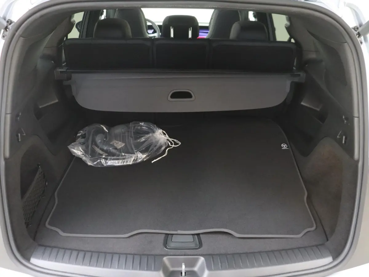 250+ Business Solution AMG 85.5 kWh / Premium/ Night/ SUPERSCREEN/ 19 inch