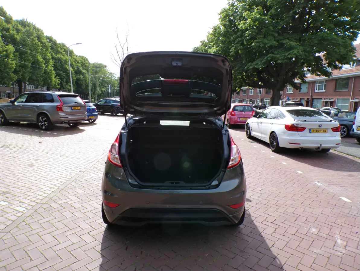 1.0 EcoBoost ST Line 101 PK  N.A.P