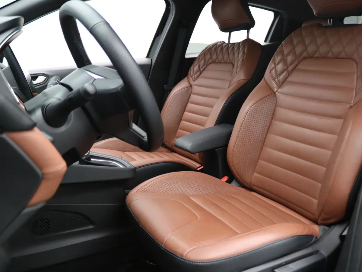 STAM Limité 75 E-Tech full hybrid 145pk #15 van 75 Adapt. cruise | 360° Camera | BOSE | Leder | 9,3" Navi | 17" Velgen