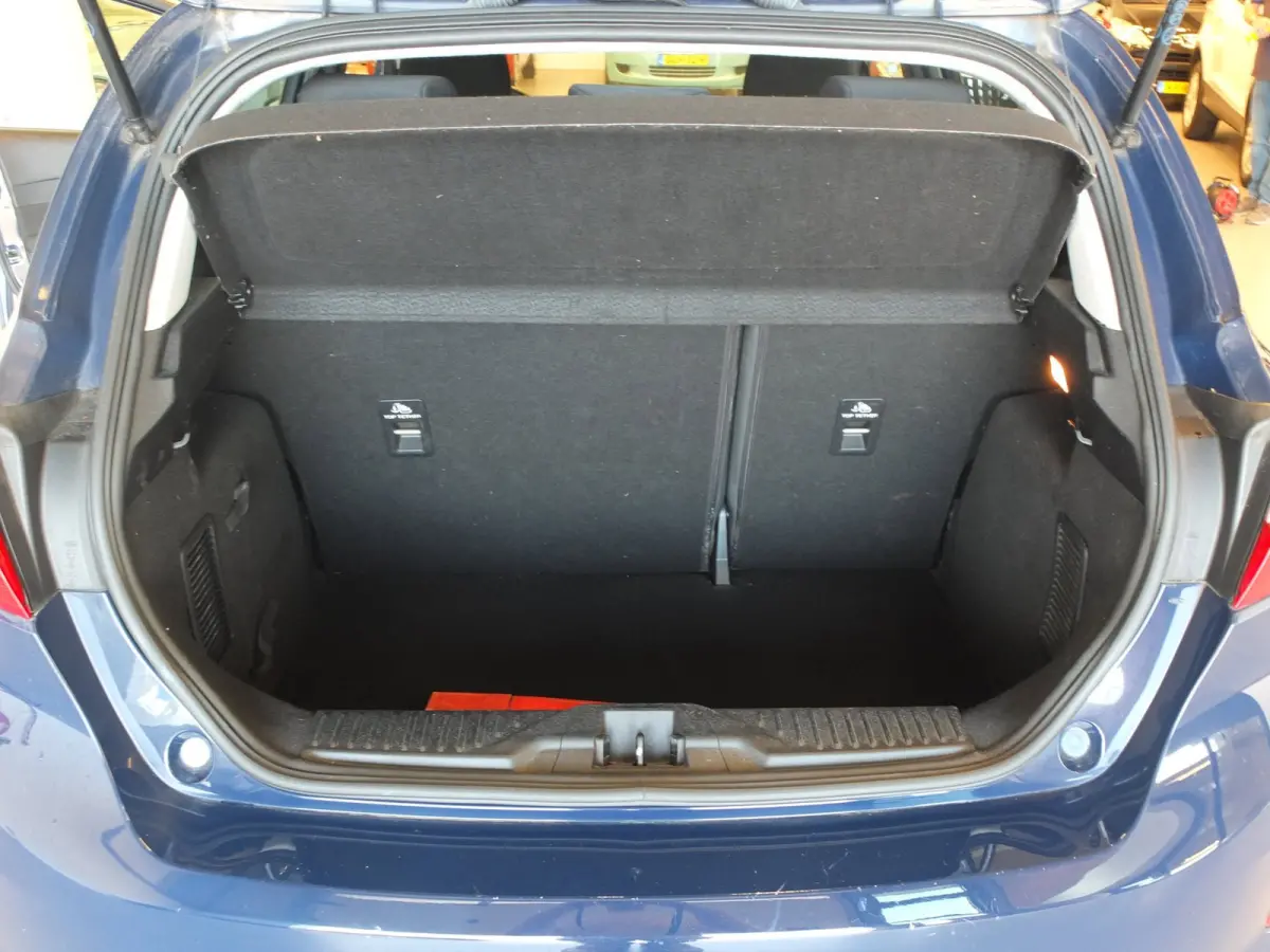 1.0 EcoBoost Connected | CarPlay | Zuinig | Modern | Nette staat