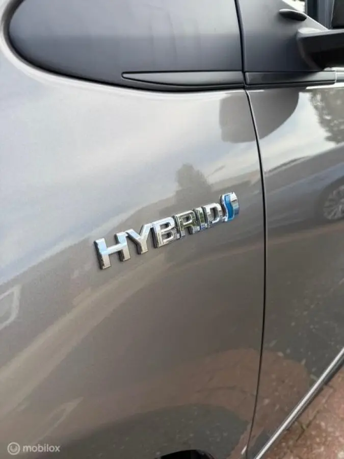 1.5 Hybrid Dynamic