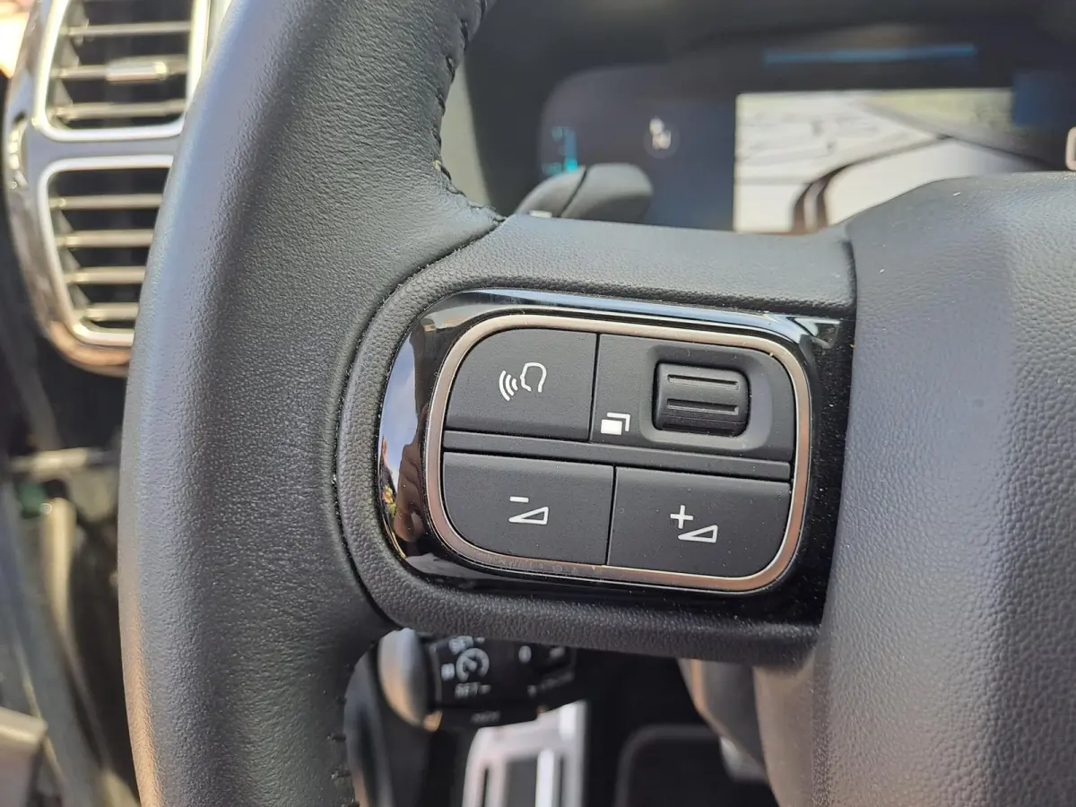 1.6 Plug-in Hybrid 225 Shine