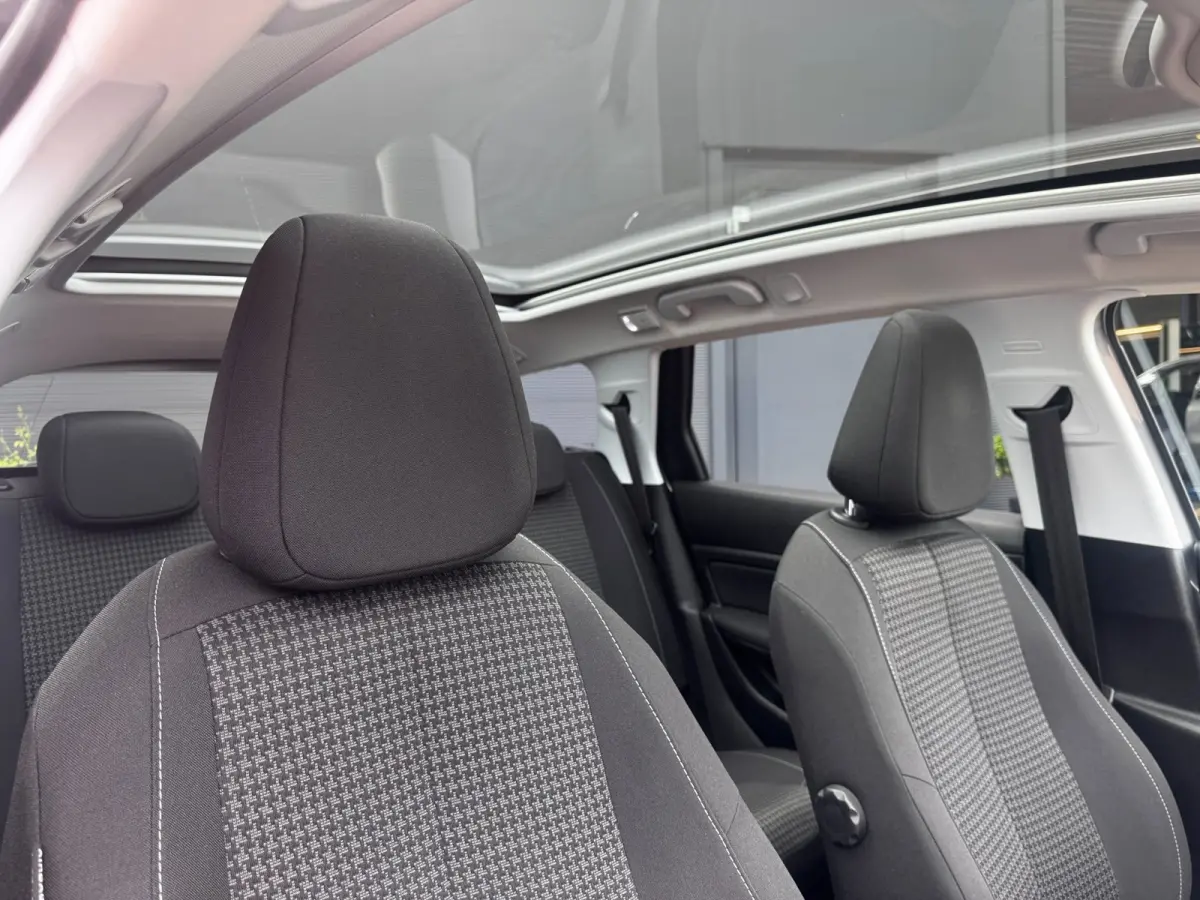 1.2 PureTech Blue Lease Executive | Trekhaak | Panoramadak | Distributieriem vervangen | NL-auto
