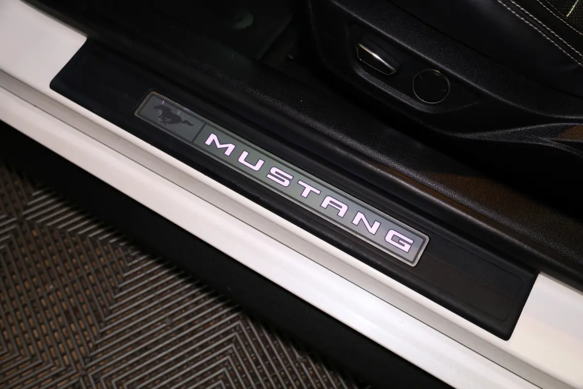 2.3 EcoBoost AVM NAVI CLIMA CAMERA KEYLSS PDC CRUISE LEDER SUBWH "19