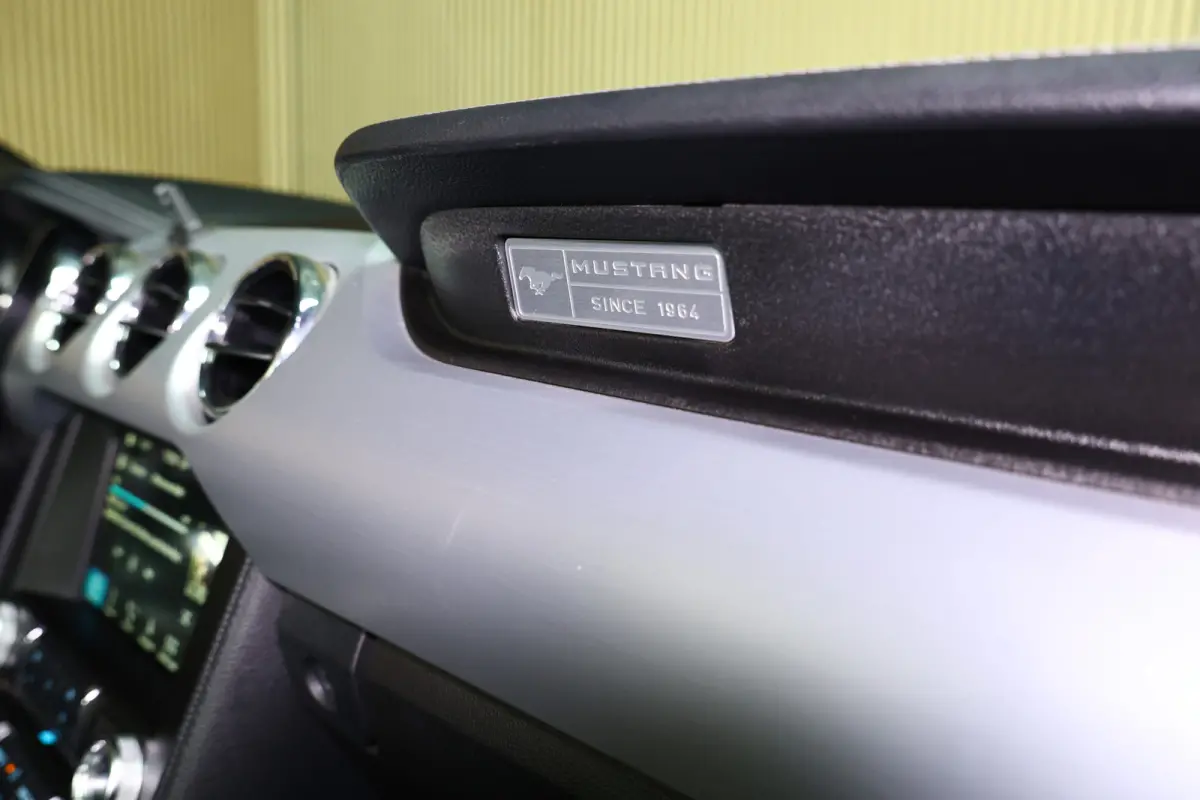 2.3 EcoBoost AVM NAVI CLIMA CAMERA KEYLSS PDC CRUISE LEDER SUBWH "19