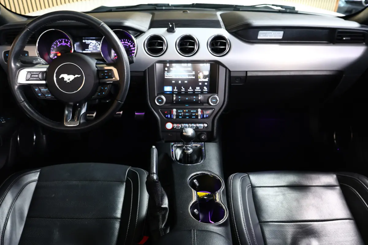 2.3 EcoBoost AVM NAVI CLIMA CAMERA KEYLSS PDC CRUISE LEDER SUBWH "19