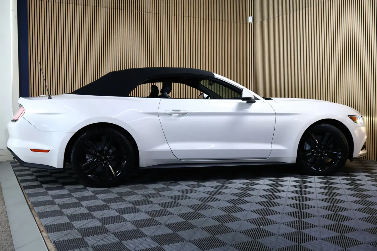 2.3 EcoBoost AVM NAVI CLIMA CAMERA KEYLSS PDC CRUISE LEDER SUBWH "19