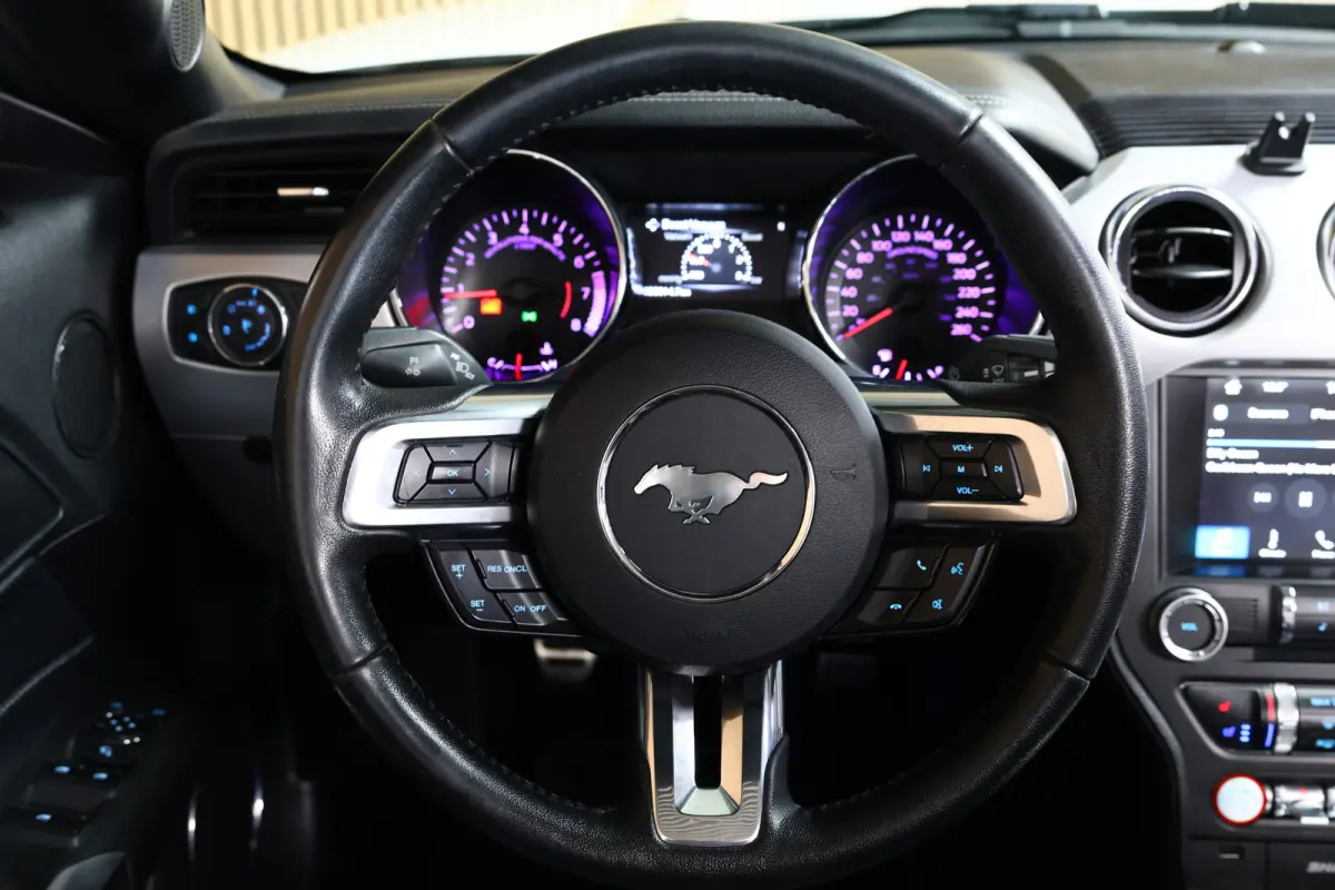 2.3 EcoBoost AVM NAVI CLIMA CAMERA KEYLSS PDC CRUISE LEDER SUBWH "19