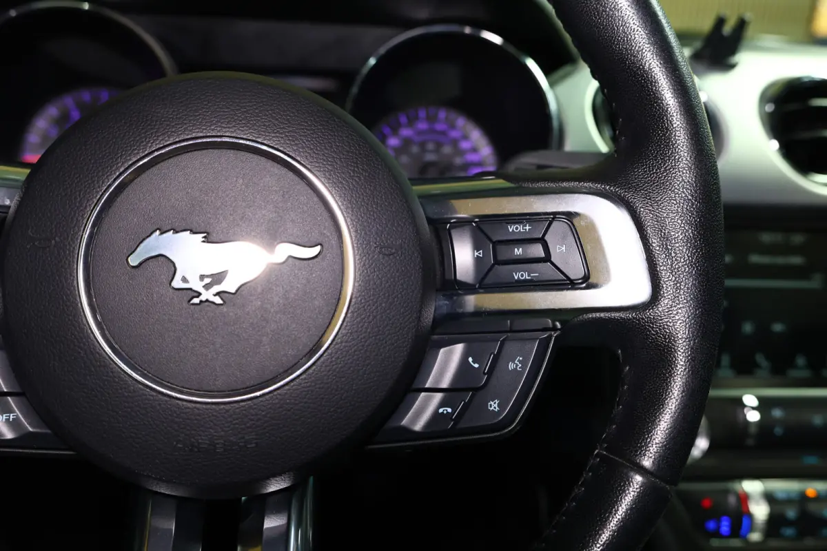 2.3 EcoBoost AVM NAVI CLIMA CAMERA KEYLSS PDC CRUISE LEDER SUBWH "19