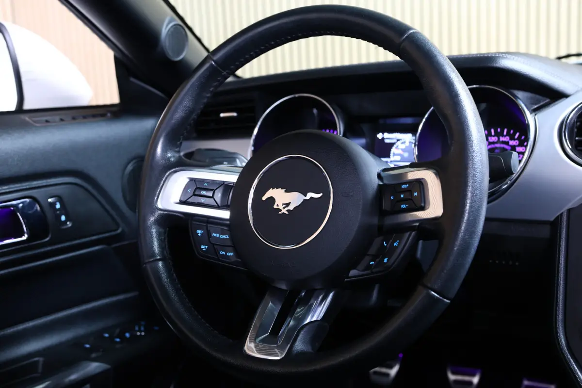 2.3 EcoBoost AVM NAVI CLIMA CAMERA KEYLSS PDC CRUISE LEDER SUBWH "19