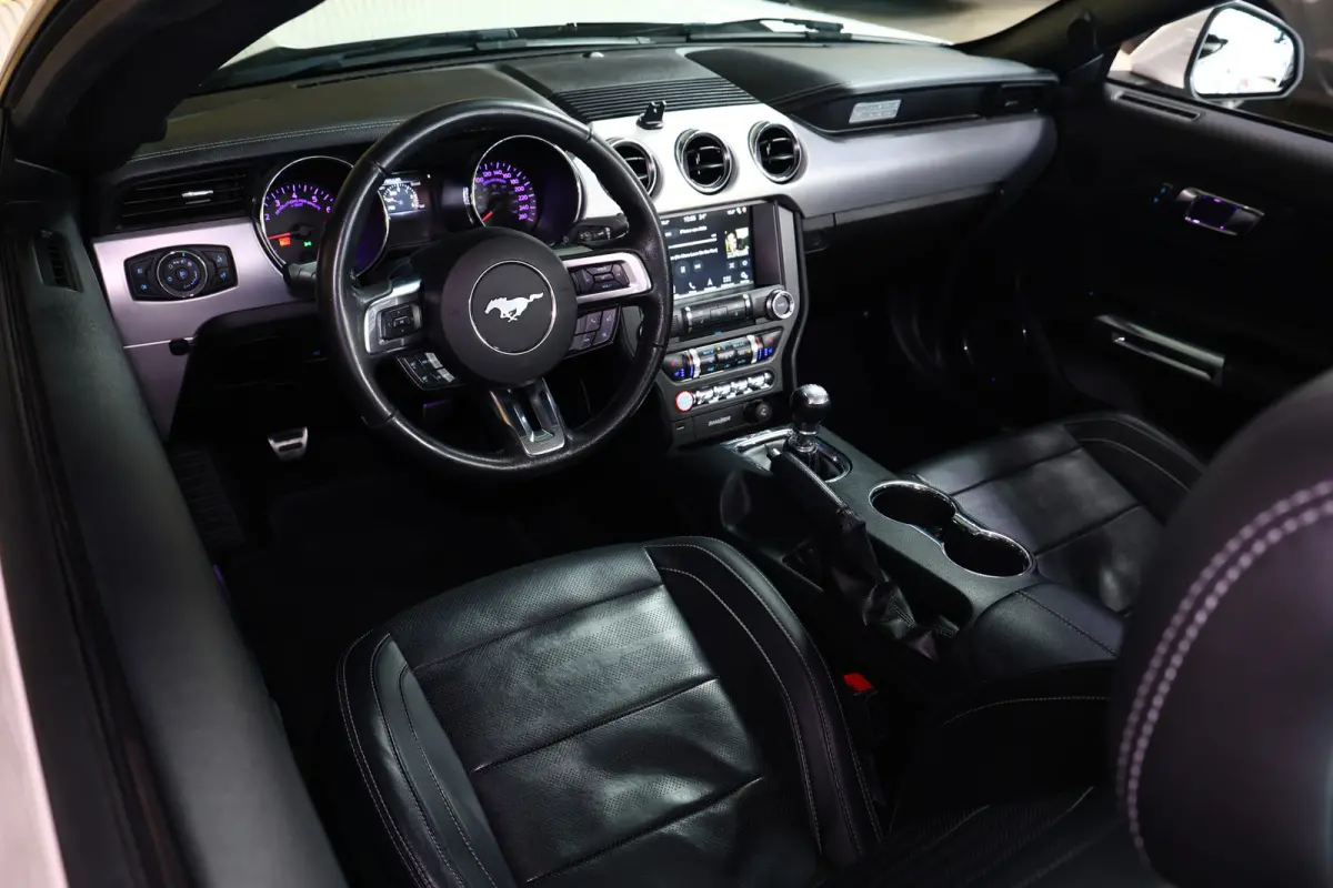 2.3 EcoBoost AVM NAVI CLIMA CAMERA KEYLSS PDC CRUISE LEDER SUBWH "19