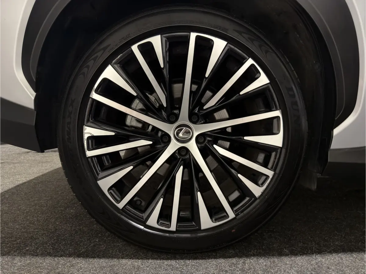 450e Executive Line 71 kWh | SOH 97,9 % | Leder interieur | Stoelen gekoeld & verwarmd | LMV 20"