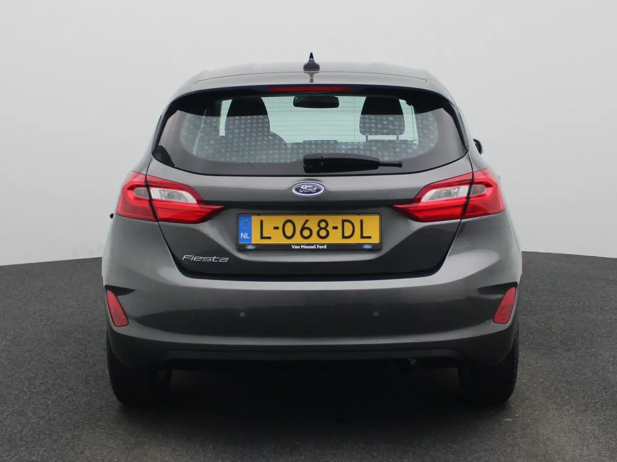 1.0 EcoBoost Titanium Winterpack | PDC | LMV | Navigatie | Apple carplay | Cruise