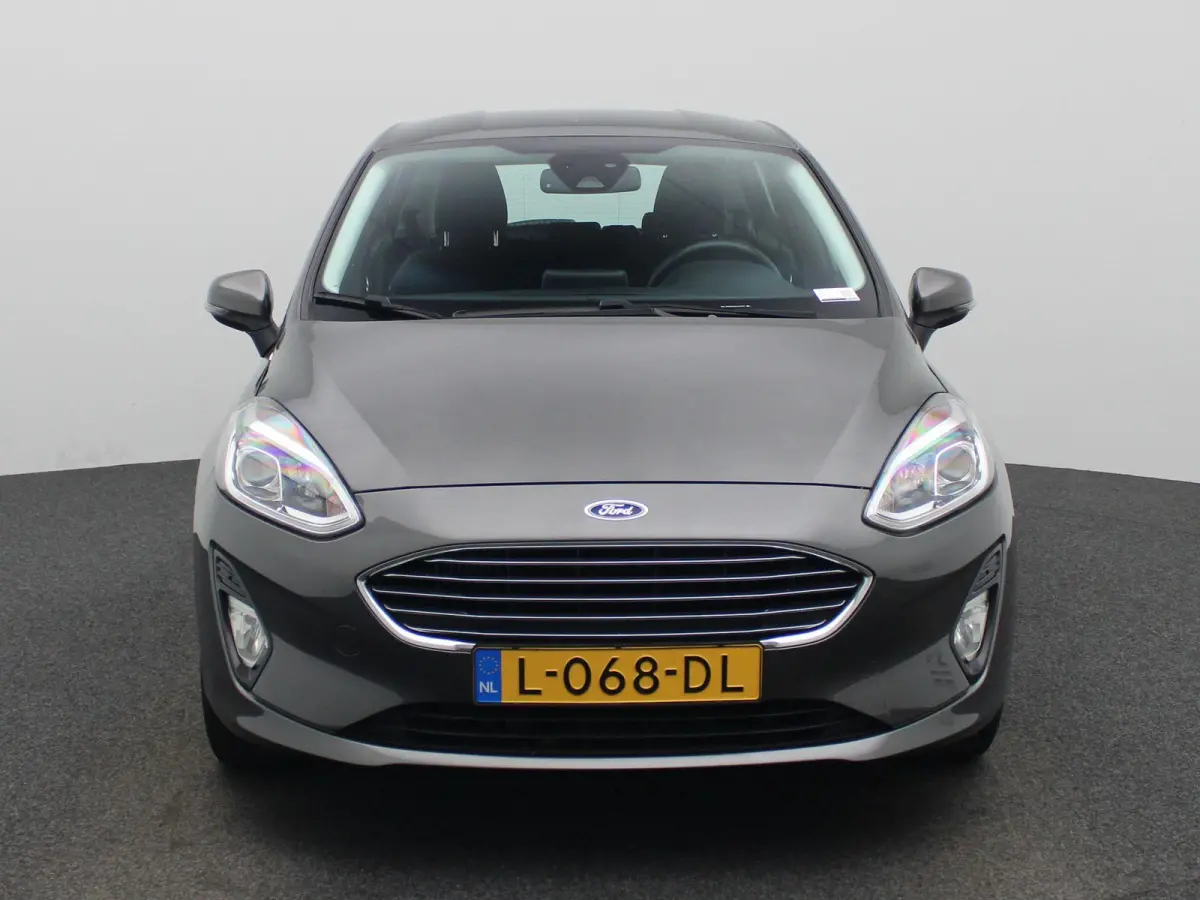 1.0 EcoBoost Titanium Winterpack | PDC | LMV | Navigatie | Apple carplay | Cruise