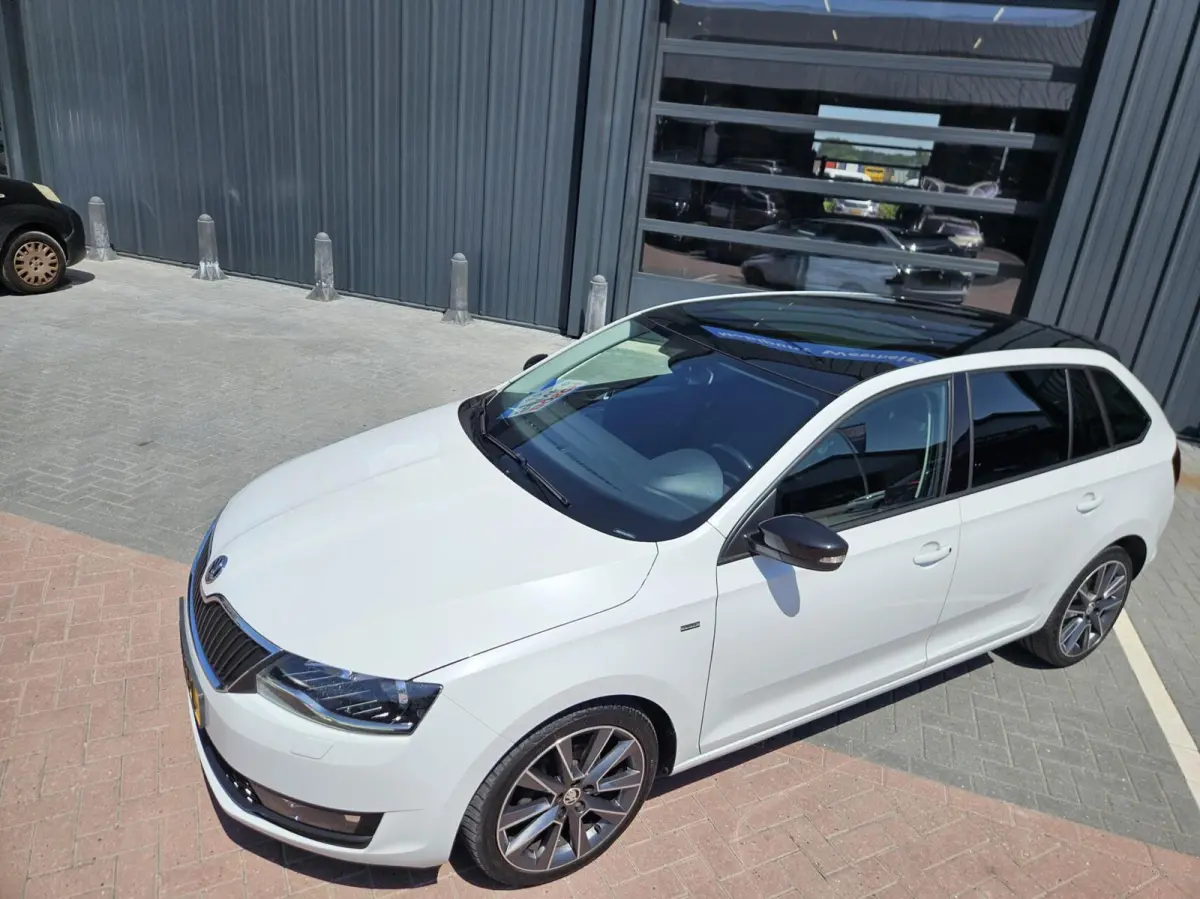 1.0 TSI automaat Greent Drive PANODAK NIEUWSTAAT!