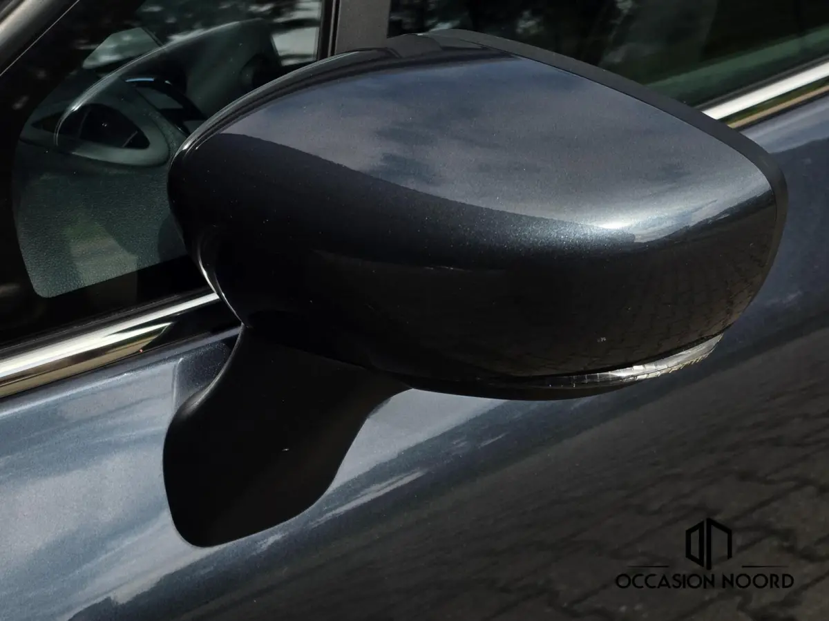 0.9 TCe Intens|Led|Keyless|Climate|Dab+|Leder|