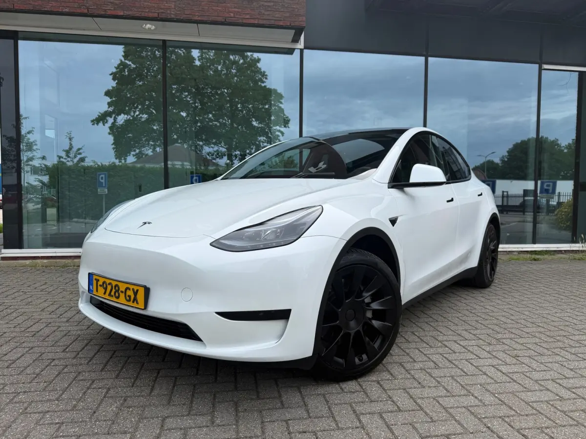 RWD 58 kWh - Navi - Leder - Panoramadak - Org.NL