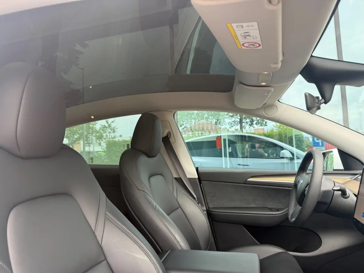 RWD 58 kWh - Navi - Leder - Panoramadak - Org.NL