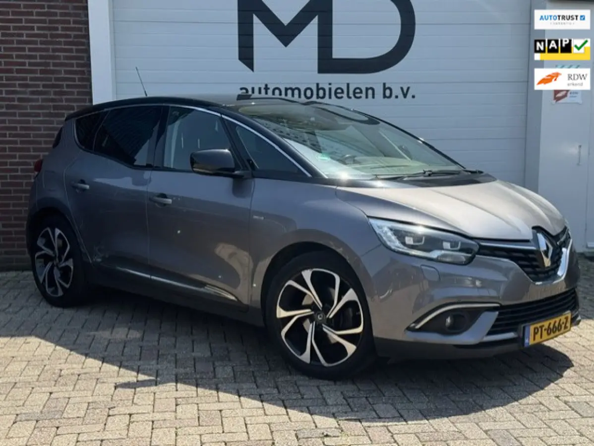 1.2 TCe Bose - 1e eigenaar -Trekhaak-LED- NAP