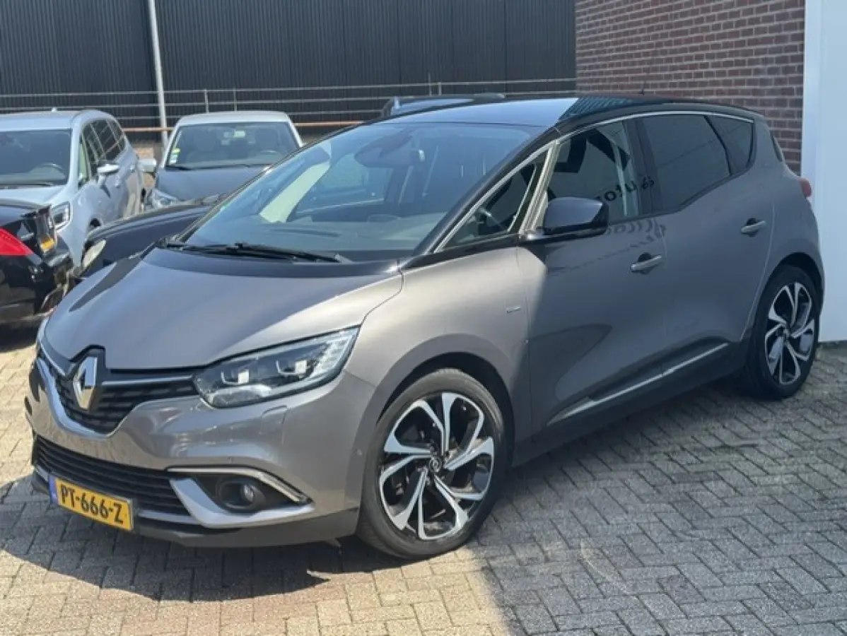 1.2 TCe Bose - 1e eigenaar -Trekhaak-LED- NAP