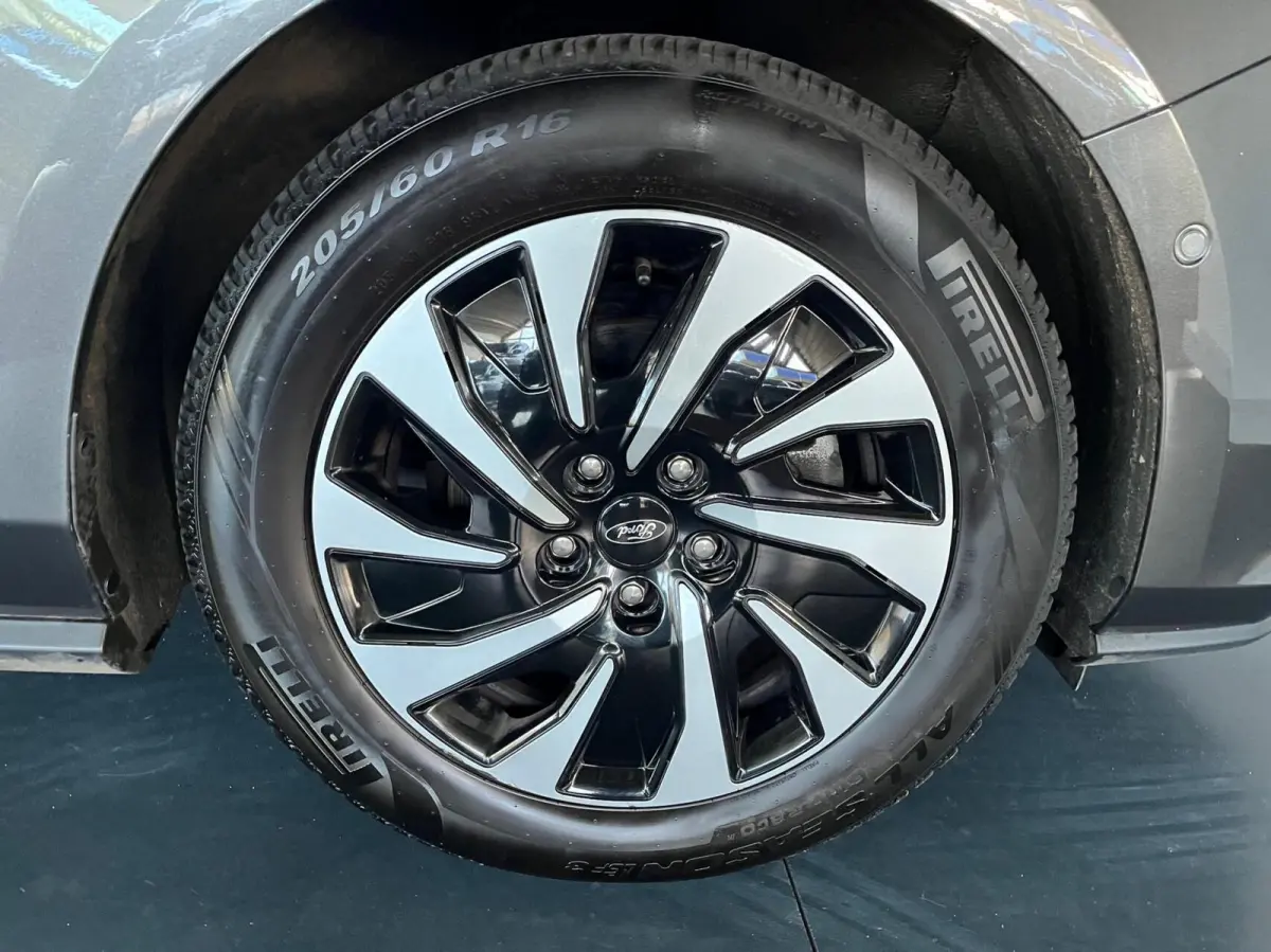 1.0 EcoBoost Hybrid Titanium,Stoel/Stuur/Voorruit verwarming