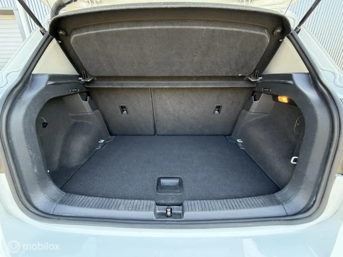 1.0 TSI Life Business 2020 / Carplay / Camera / Trekhaak / Stoelverwarming / NAP