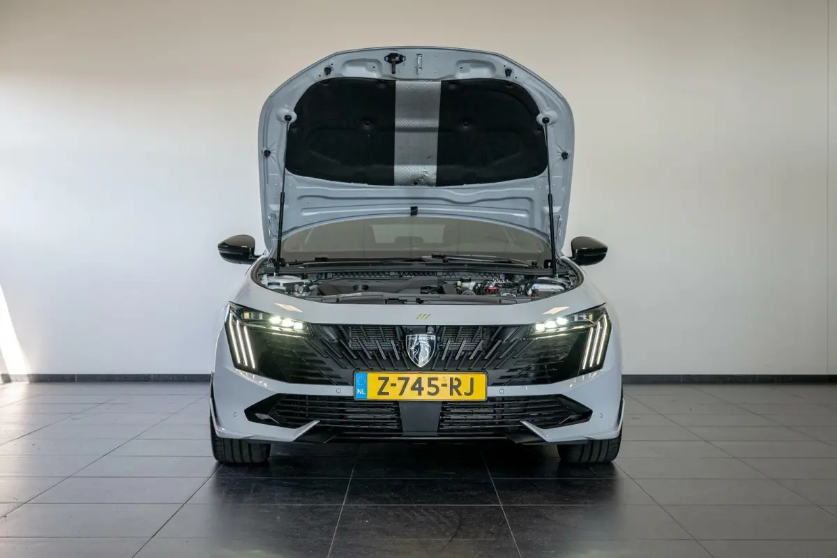 PSE HYbrid4 360PK | Panoramadak | Orig. NL