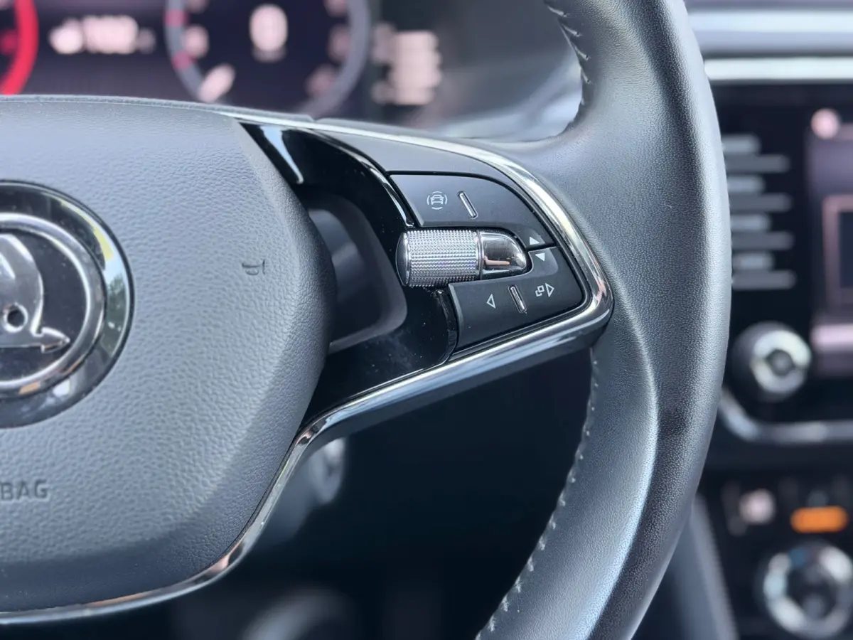 2.0 TSI 280pk Memory/AppleCarPlay/Xenon