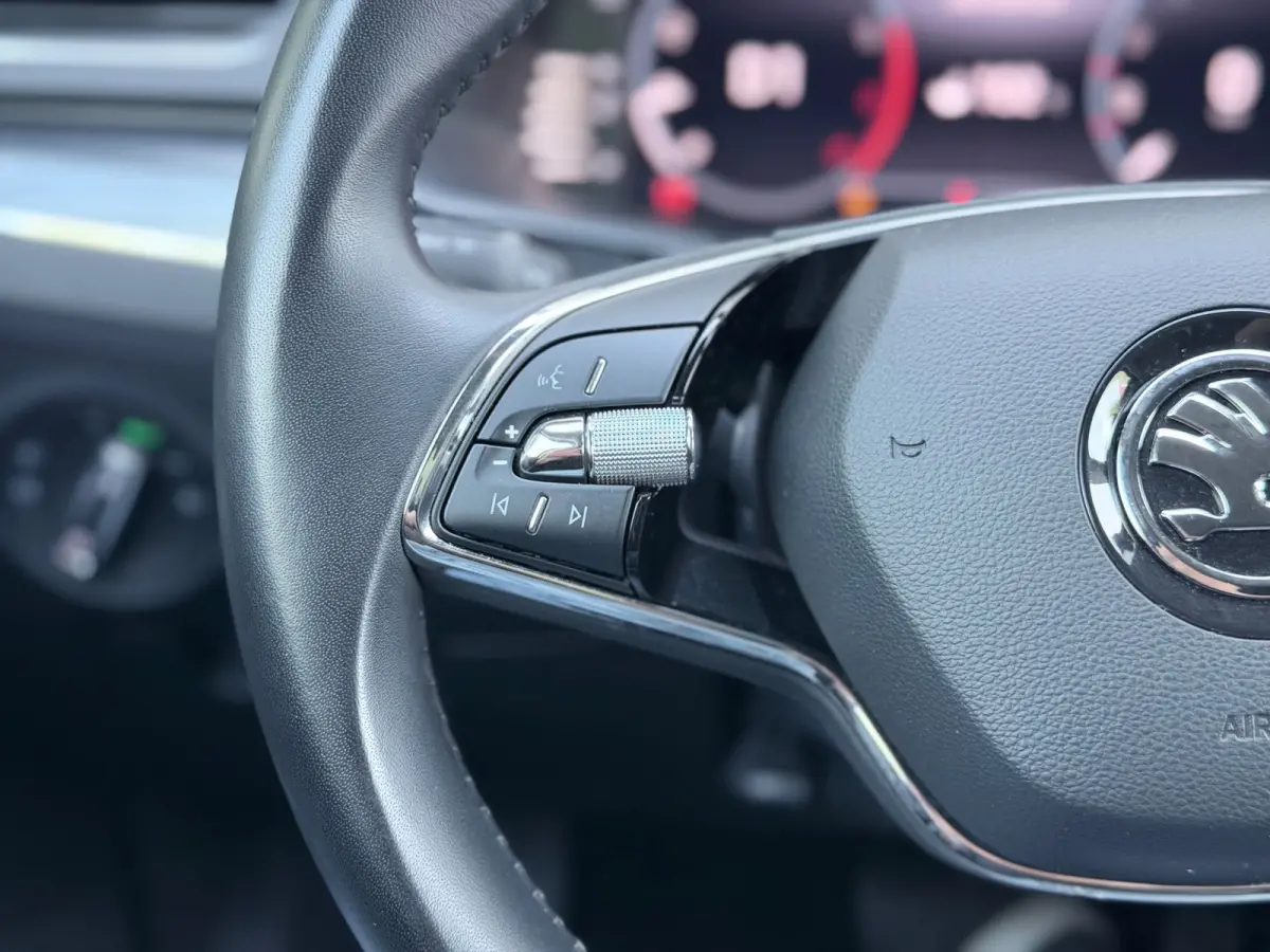 2.0 TSI 280pk Memory/AppleCarPlay/Xenon