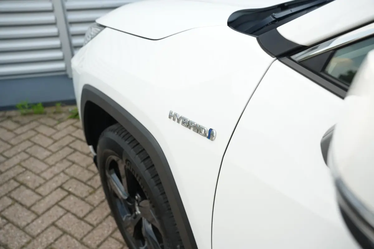2.5 Hybrid AWD Business Intro