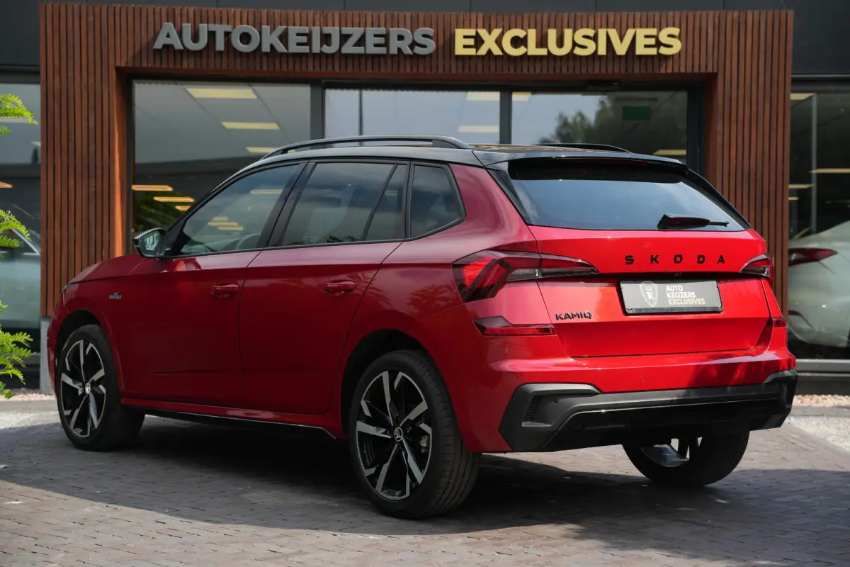1.0 TSI Monte Carlo Pano