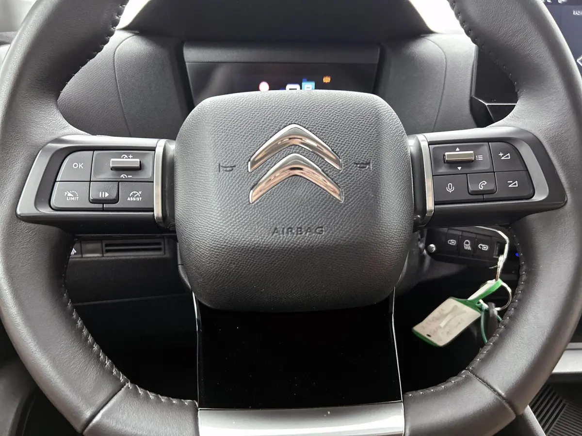 136pk You 50 kWh Automaat | Apple Carplay/Android Auto | Climate Control | Cruise Control | Camera | FASE 3 | 16"LMV | Parkeersensoren | Warmtepomp |