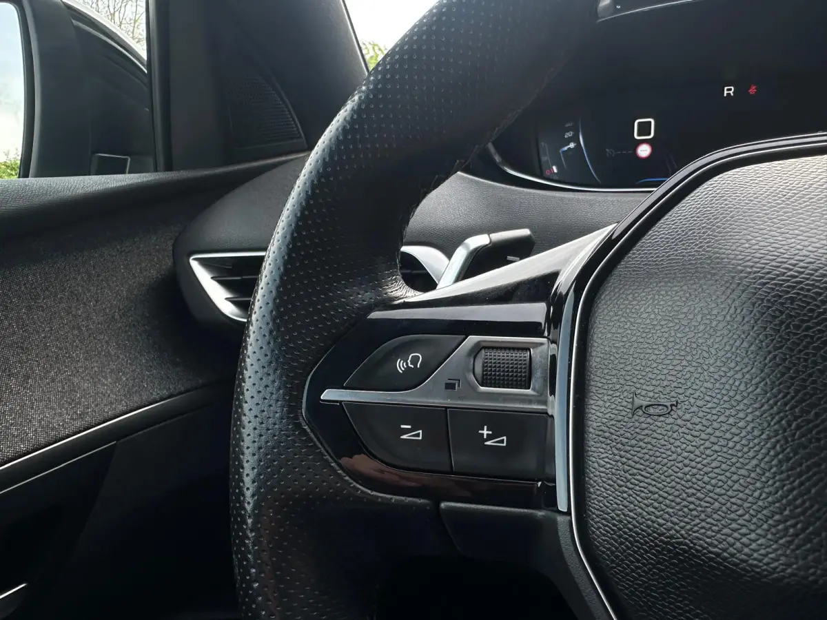 1.6 e GT Line, Automaat, Camera, CarPlay, Pano, Memory, Leder, Cruise