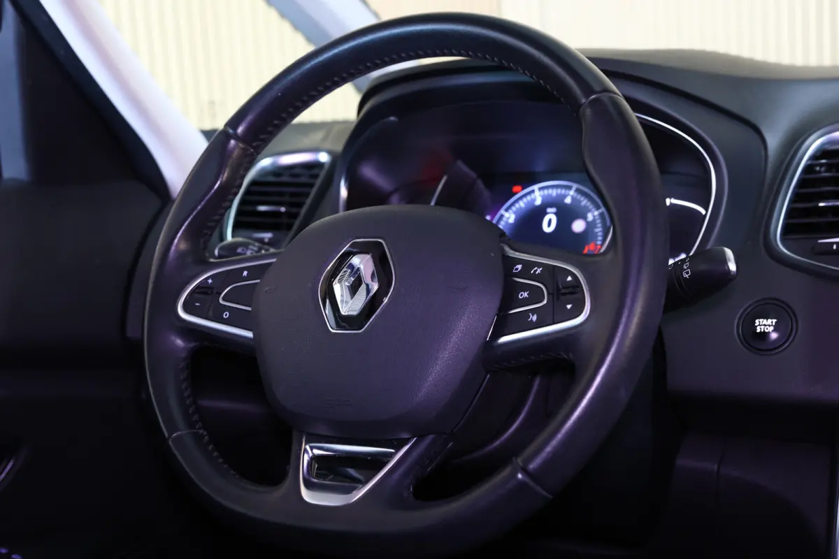 1.2 TCe Intens AVM LED NAVI CRUISE CLIMA KEYLESS PDC BT THAAK "17