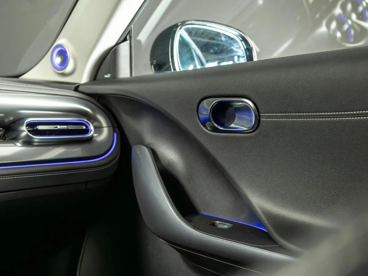 Premium 66 kWh