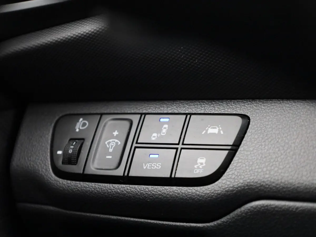 Premium EV 38 kWh | SCHUIFDAK | NAVIGATIE | CAMERA | STOELVERWARMING/KOELING | LEDER