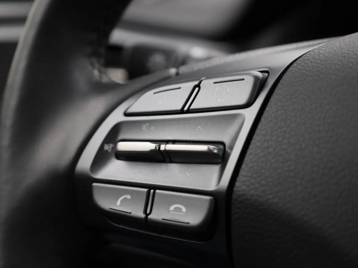 Premium EV 38 kWh | SCHUIFDAK | NAVIGATIE | CAMERA | STOELVERWARMING/KOELING | LEDER