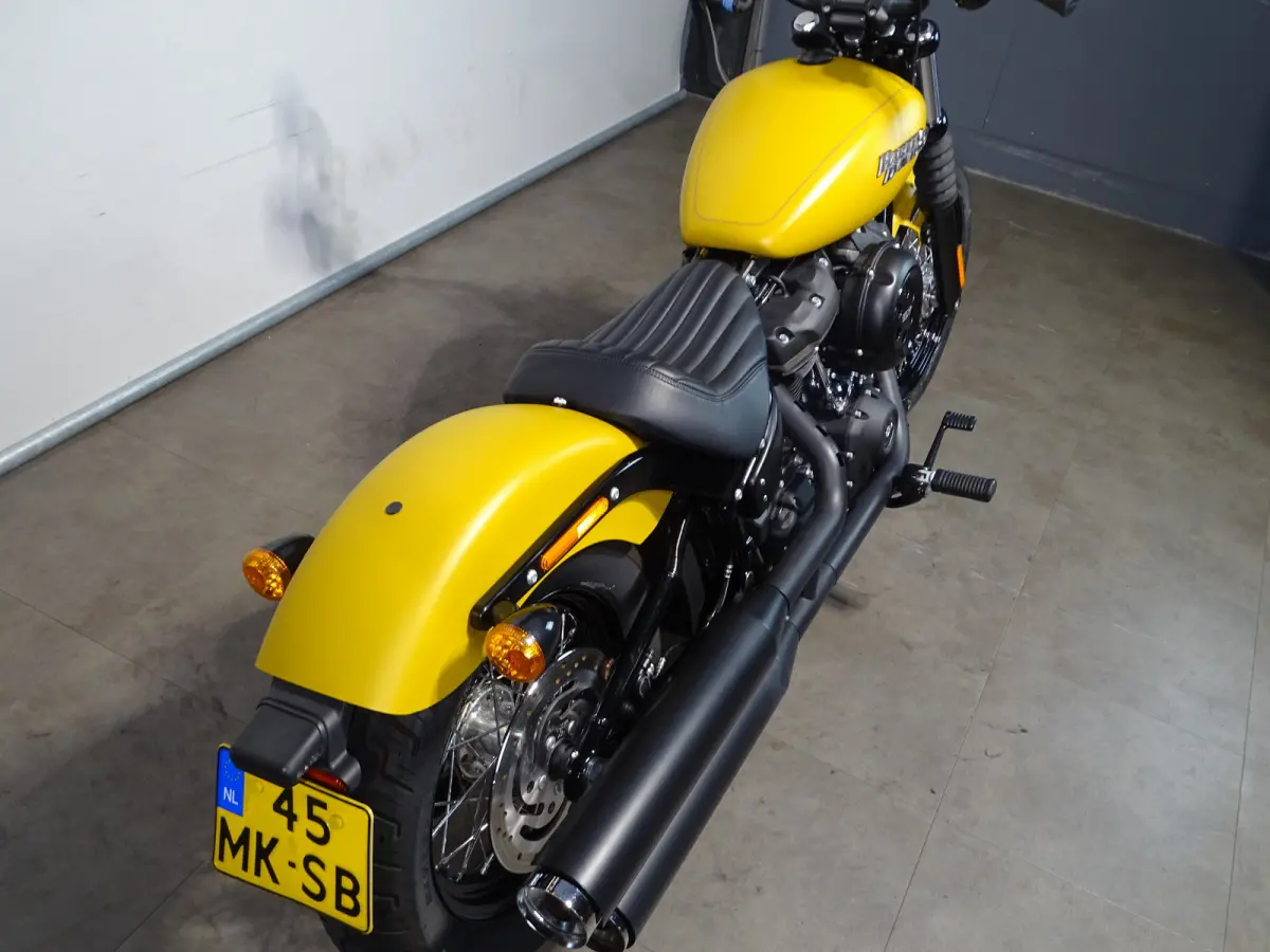 STREET BOB