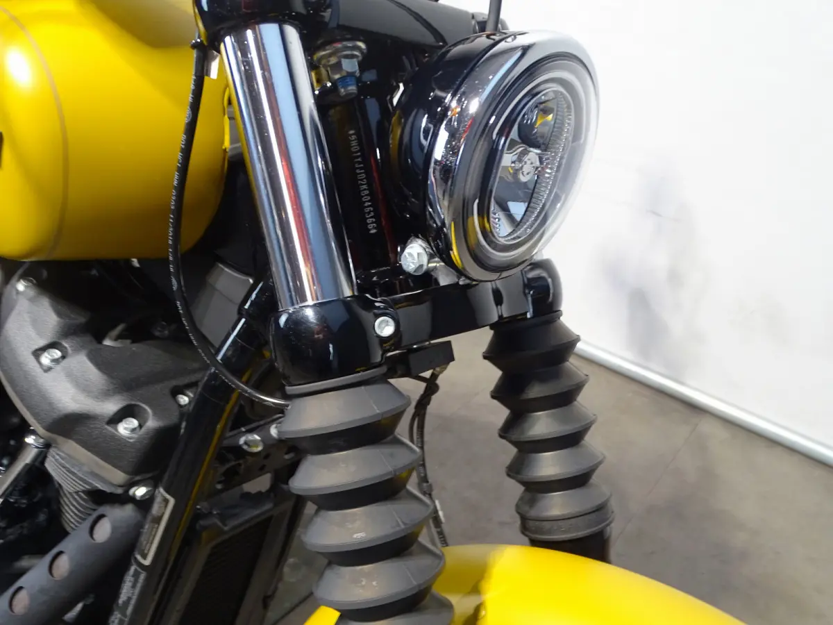 STREET BOB