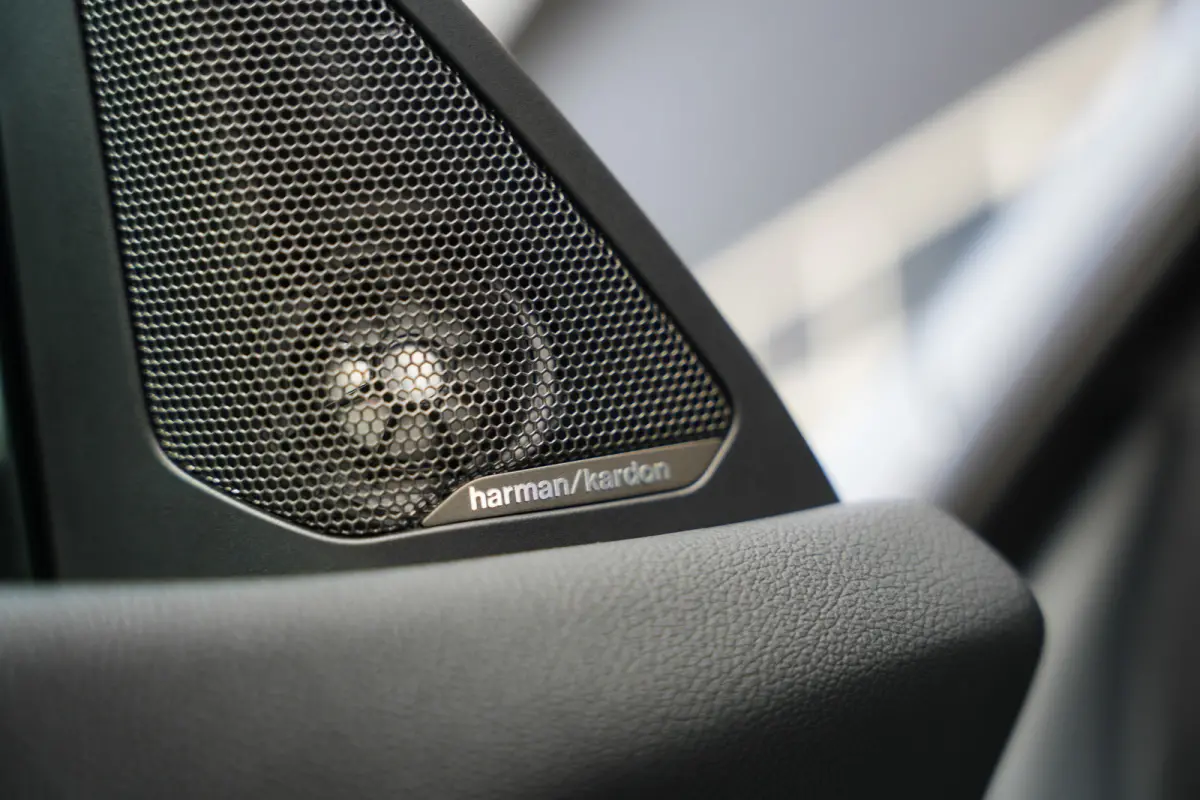 220i 179 pk M-Sportpakket / Frozen-Grey/ Pano-Dak/ Harman&Kardon/ Individual/ Keyless/ Camera/ Memory/ Adapt.Cruise/ Stoel+Stuurverw./ 19''LMV