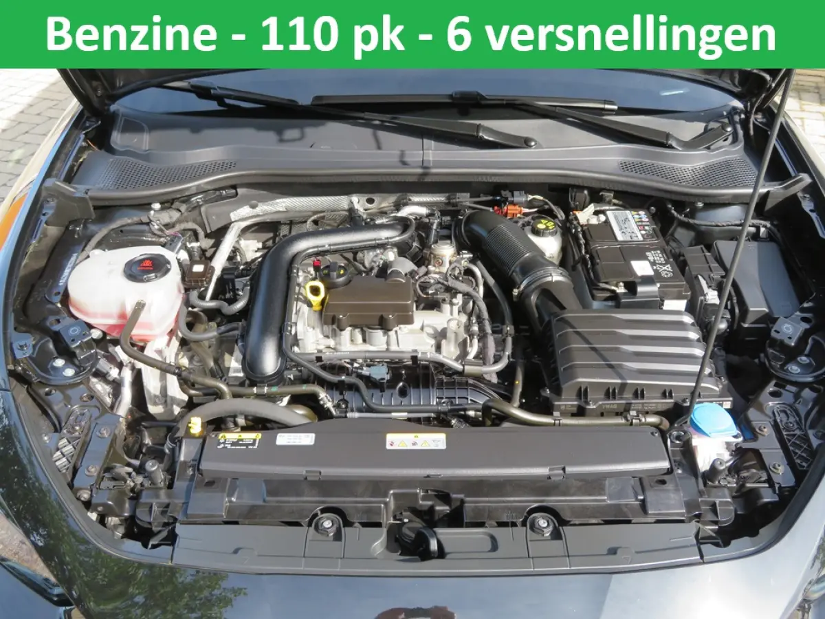 1.0 TSI 110pk Business Intense ADAPT CRUISE-CAMERA-1e EIG.-NL AUTO-