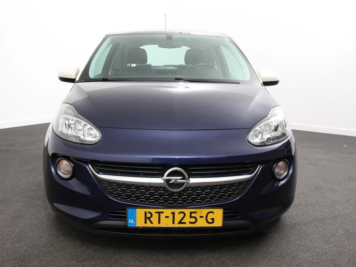 1.0 Turbo Glam Favourite Climate Control Cruise Control Panoramadak Stuurwielverwarming Stoelverwarming Licht Metalen Velgen