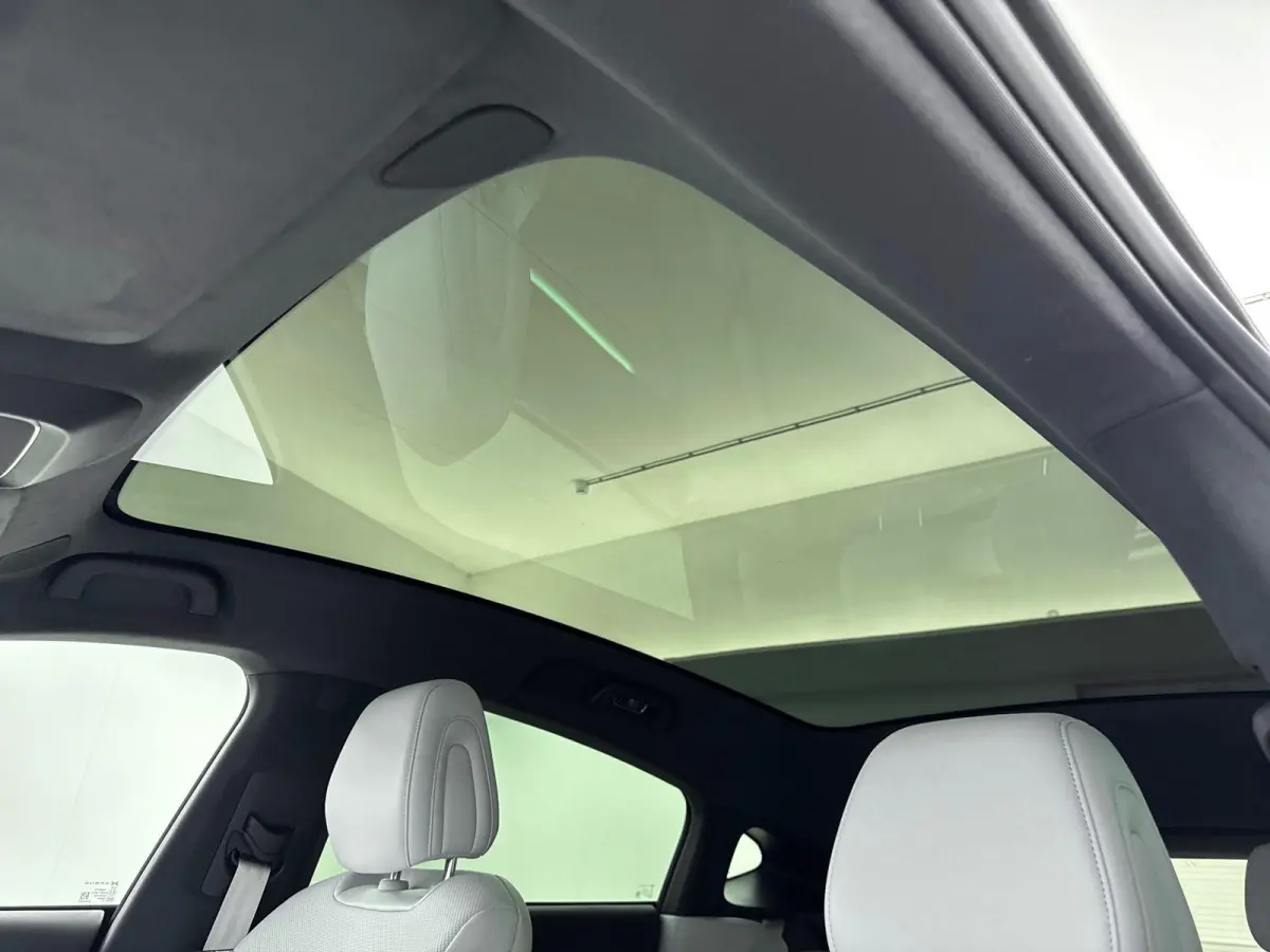 RWD Long Range 80.8 kWh Nieuw Model | Trekhaak | Apple carplay