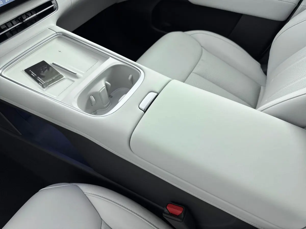RWD Long Range 80.8 kWh Nieuw Model | Trekhaak | Apple carplay