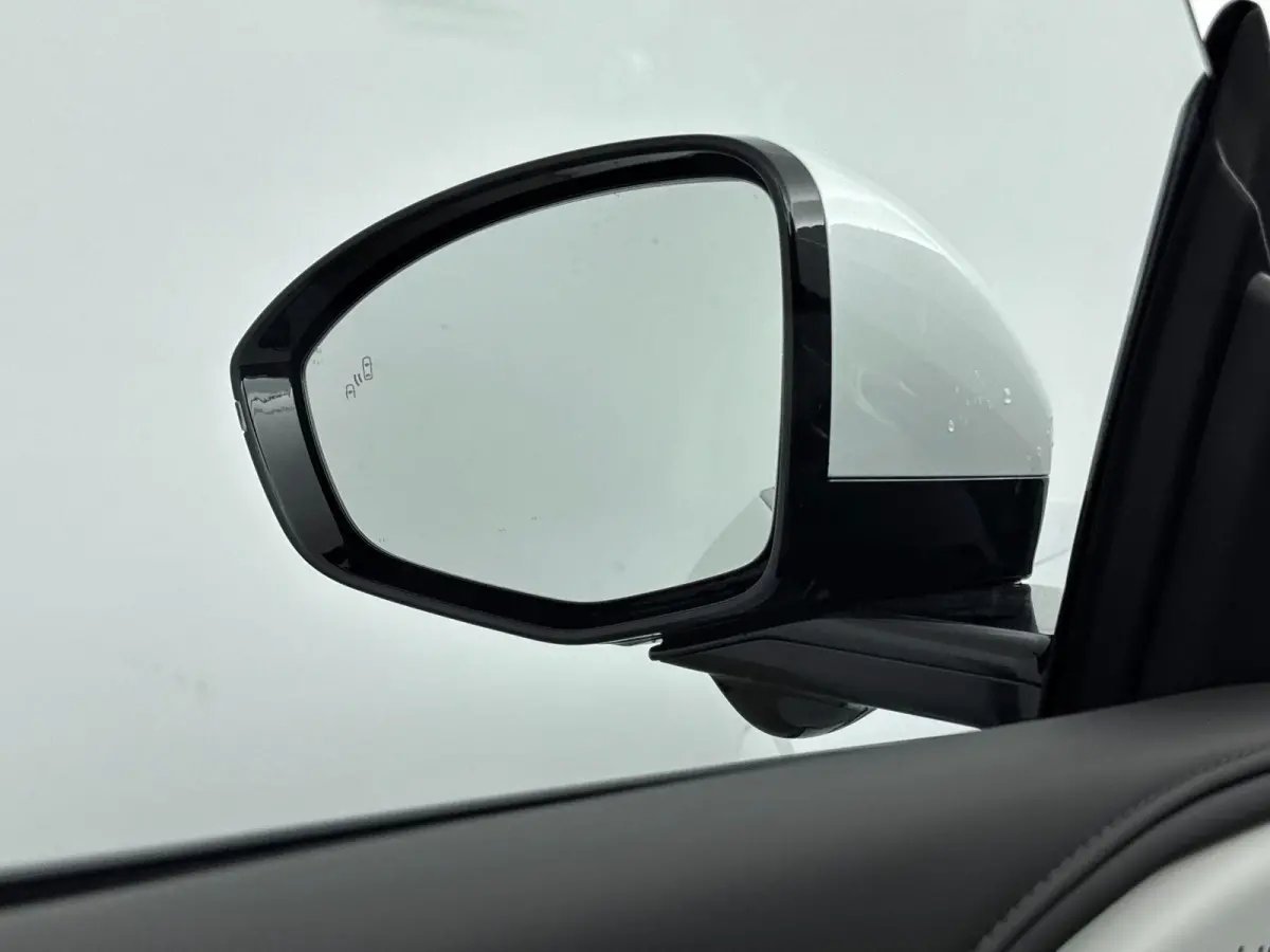 RWD Long Range 80.8 kWh Nieuw Model | Trekhaak | Apple carplay