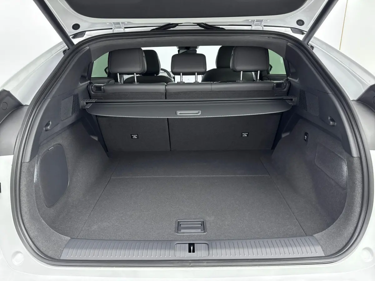 RWD Long Range 80.8 kWh Nieuw Model | Trekhaak | Apple Carplay