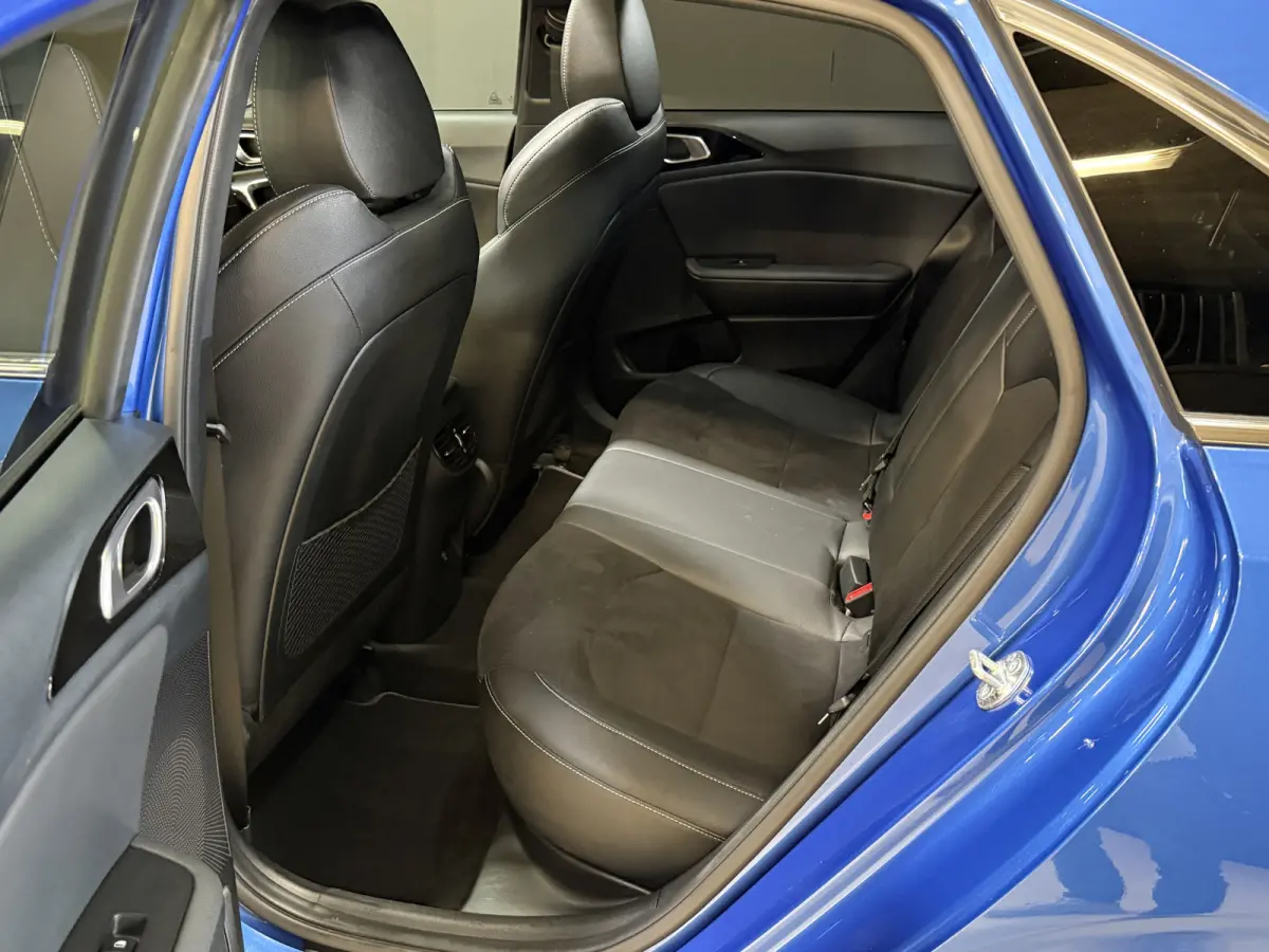 1.0 T-GDi GT-Line | Panoramadak | Camera | Dodehoeksensoren