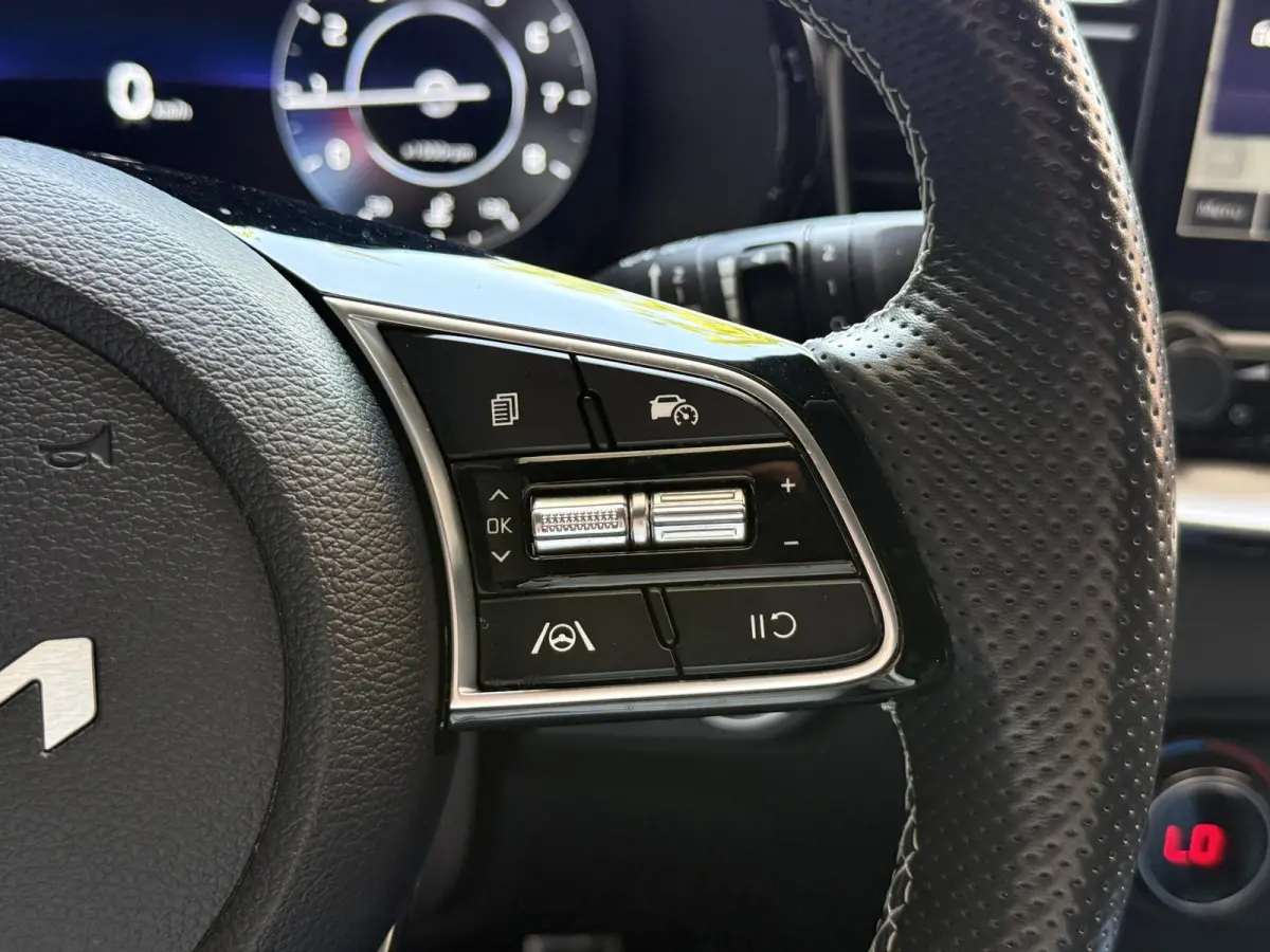 1.0 T-GDi GT-Line | Panoramadak | Camera | Dodehoeksensoren